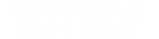 武汉市语爱机电科技有限公司